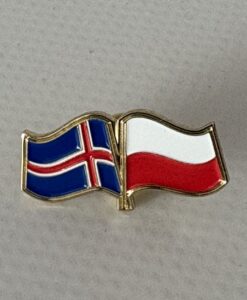 Ísland / Pólland