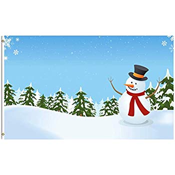 Jólagluggaskreytingar - Image 31