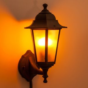 Eldpera eins og kyndill - TTF4WE27