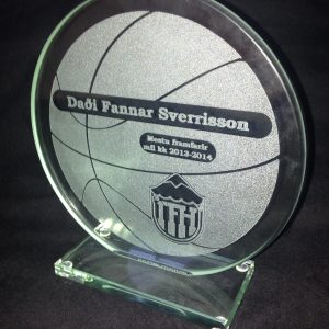 Körfuboltaverðlaun-1