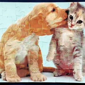 A4 plastpúsl (Polymer 48 bita)