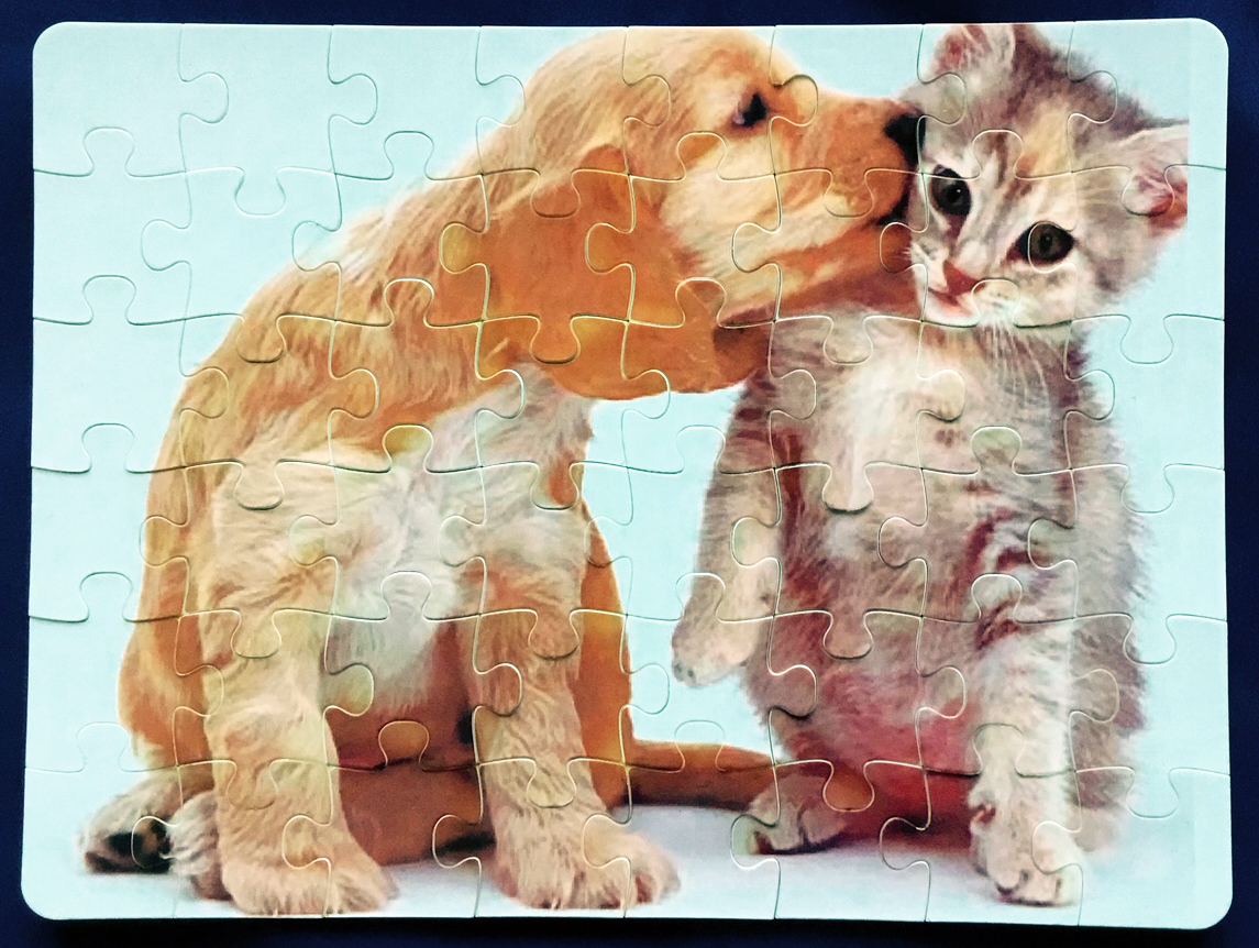 A4 plastpúsl (Polymer 48 bita)