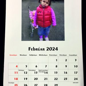 Veggdagatal - sendingarkostnaður er innifalinn í verðinu