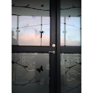 Filma fiðrildi og greinar