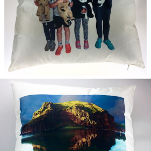 MMSFSBZ02  Koddaver. 40x40cm