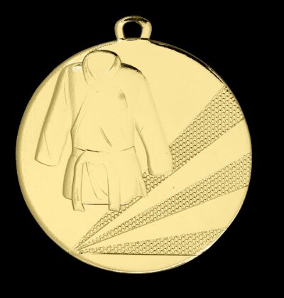 MMD112D Bardagaíþróttir